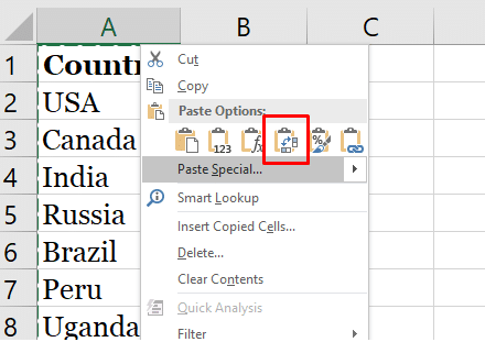 paste-transpose-icon