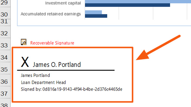 Digital signature example in Excel