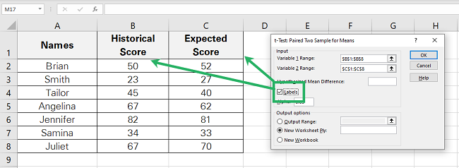 09 labels option Checking the Labels option