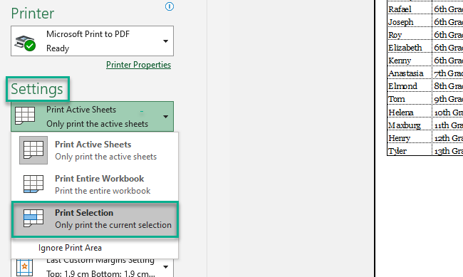 Selecting the Print Selection option in printer settings. 