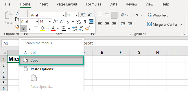 02 copy context Choosing the Copy option from Context Menu.