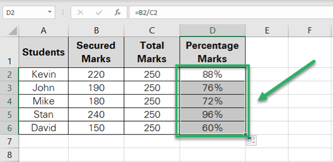 Excel calculates the percentage for all students