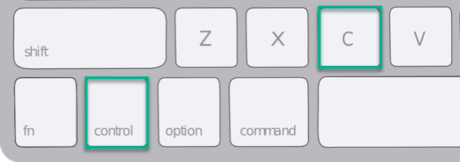 The copy shortcut key