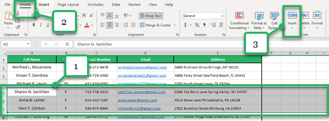 Find the Insert Feature in the Home Tab to insert blank rows.