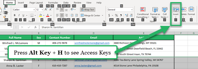 Access Key shortcut to quickly insert multiple rows in Excel