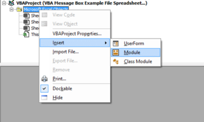How to Use Message Boxes in Excel: Step-by-Step Guide (MsgBox)