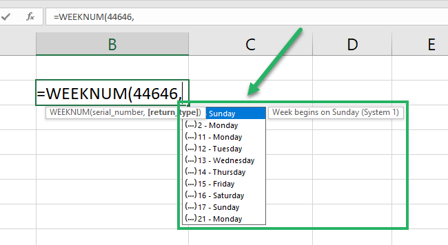 The return_type argument options