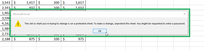 protected worksheet