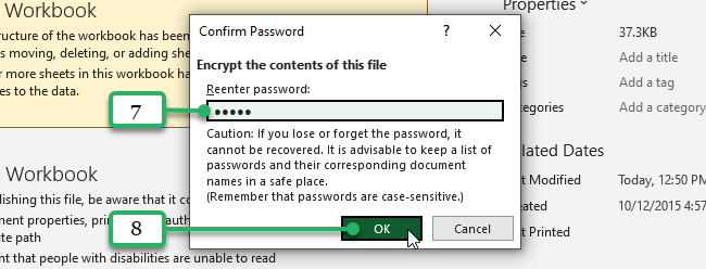 lock Excel file