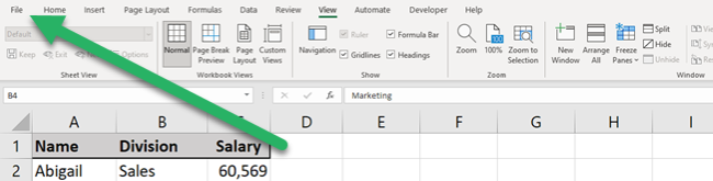 File tab contains MS Excel basic commands such as Open, Save, and Print.