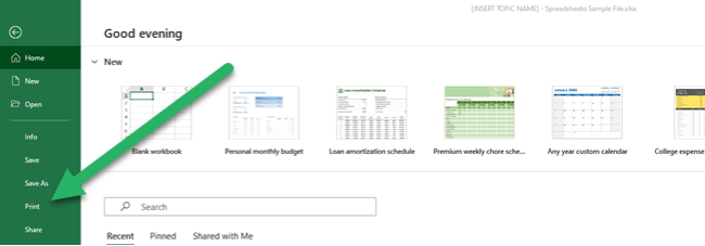You can print entire or partial worksheets and workbooks, one at a time, or several at once!