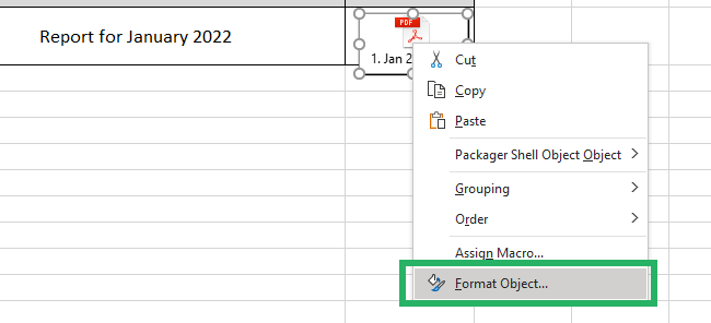 Format object option