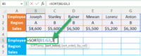 Excel SORT Function: Sort Excel Data Using a Formula