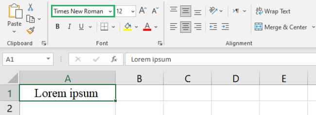 04 times new roman Times new roman font in Excel sheet