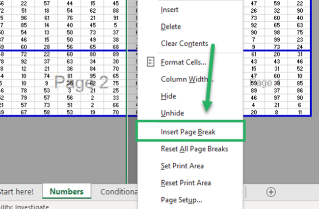 Insert a page break preview 