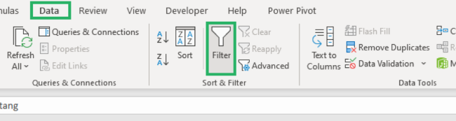 Selecting filter from the Data Tab 