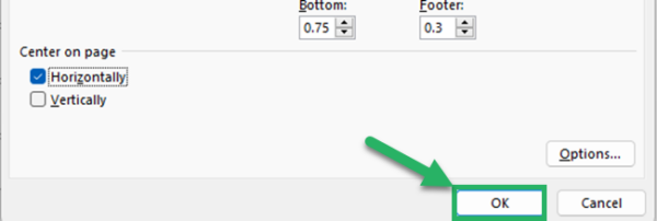 How to Center a Worksheet Horizontally in Excel