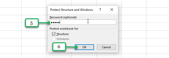 19 - password protect the worksheet