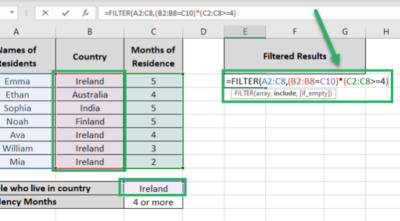 How to Use the FILTER Function in Excel + Examples (2024)