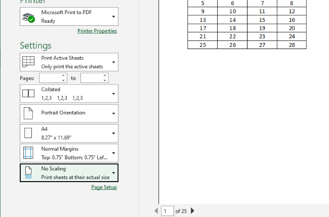 The print preview of Excel spreadsheet