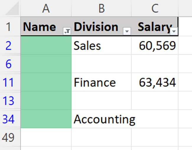 Two empty rows and three partially blank rows visible from autofilter