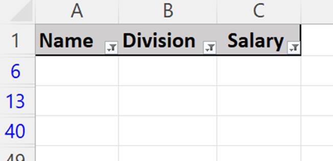 How your data set should look after hiding blank rows with autofilter