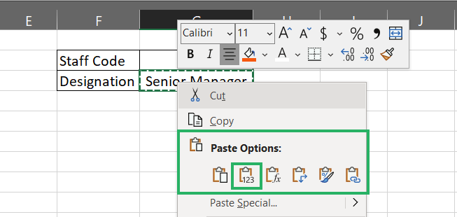 Paste values option
