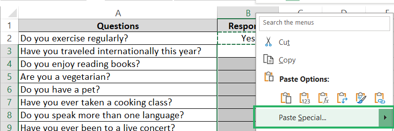 Paste Special options