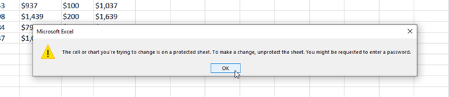 protected worksheet