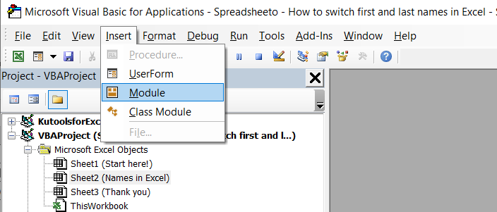 Insert a new module in Excel