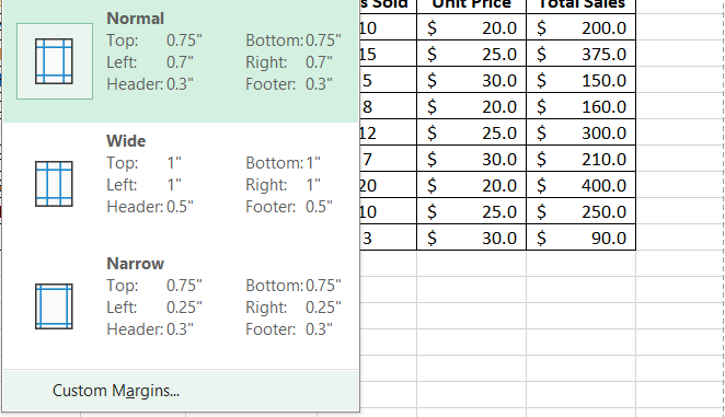 Custom Margins in Excel file